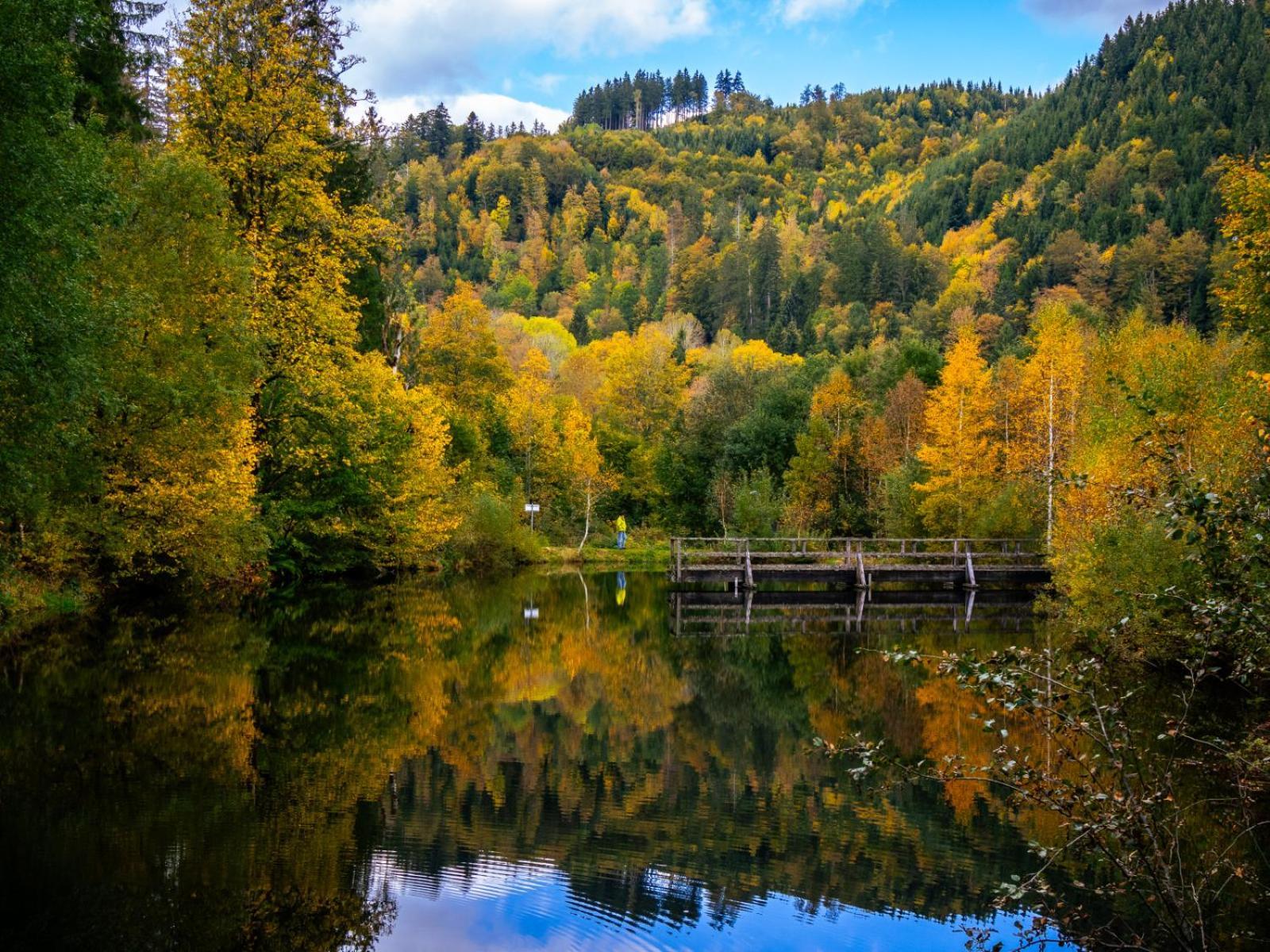 Landhaus Panoramablick Schonach im Schwarzwald Exteriör bild