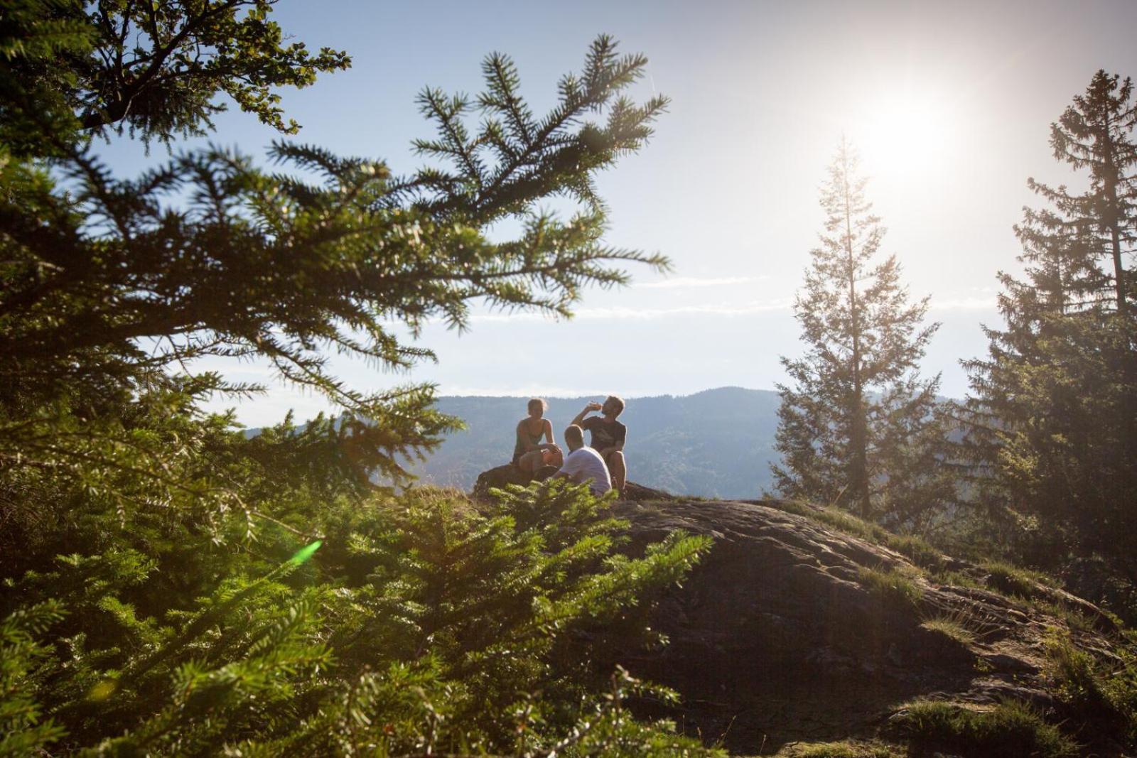 Landhaus Panoramablick Schonach im Schwarzwald Exteriör bild